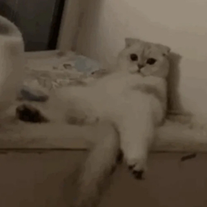 中国三级片免费
